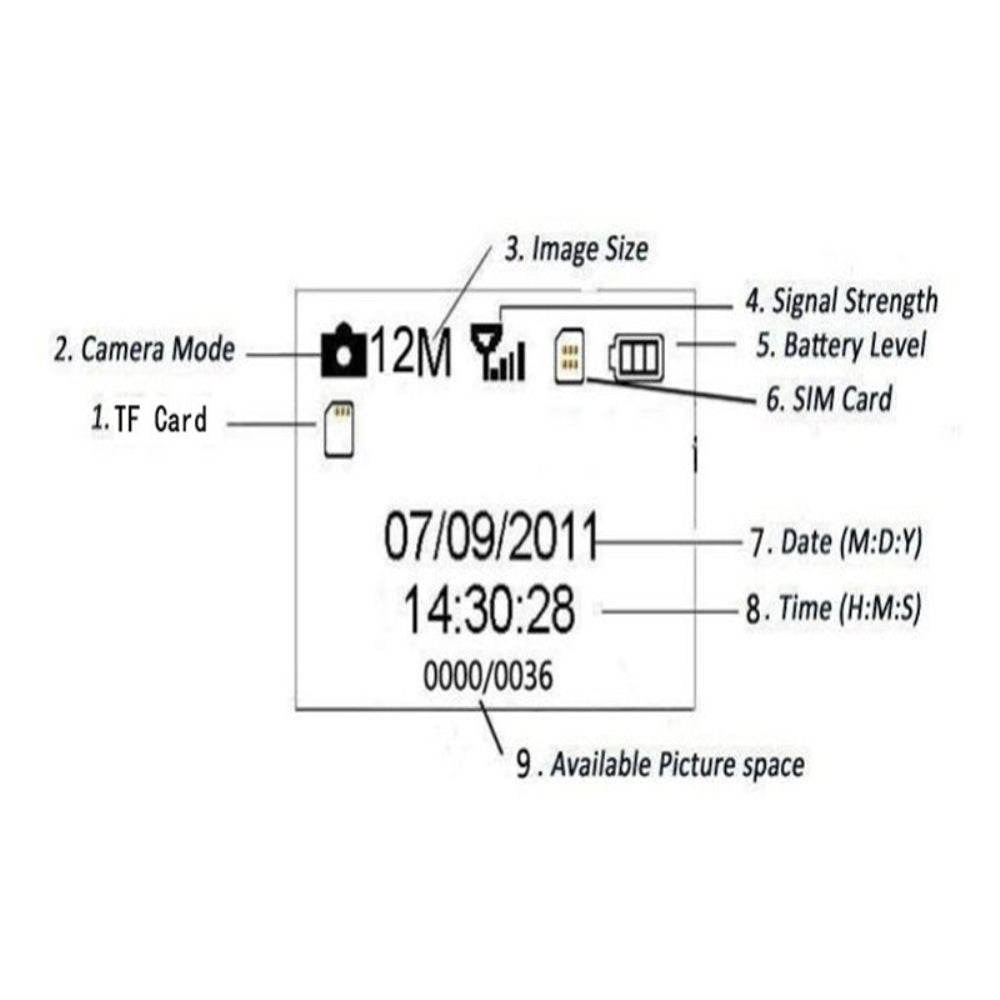 Hunting Trail Cameras