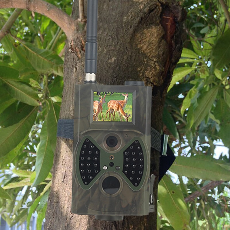 Hunting Trail Cameras