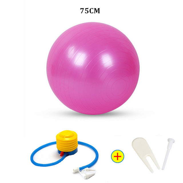 Workout Massage Ball with Pump 55cm 65cm 75cm